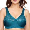 Dark Teal