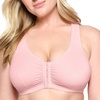 Pink Blush