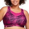 Fuchsia Print
